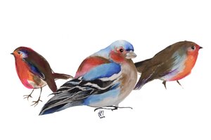 Pájaros de una pluma, 2011, tinta sobre papel